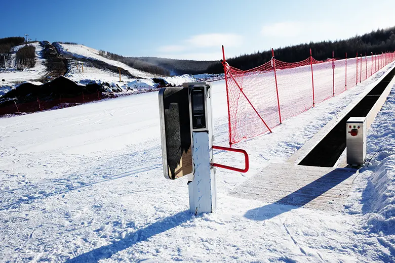 snow turnstile gate